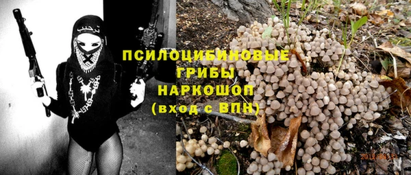 спайс Михайлов