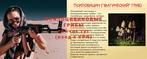 спайс Михайлов