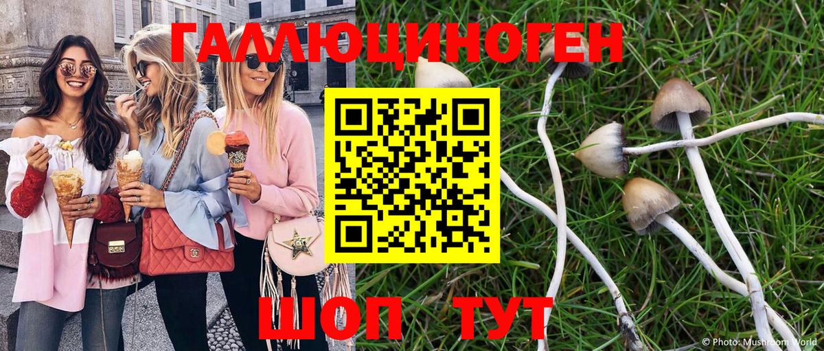 Шахты  продажа наркотиков  Вход с VPN  Псилоцибиновые грибы мухоморы 